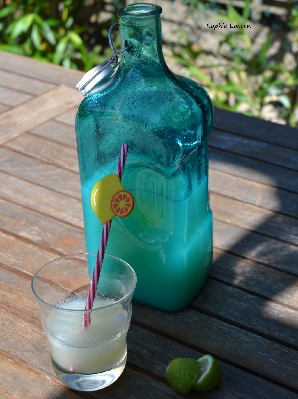 Citronnade au Companion